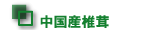 �����Y�ő�