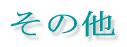 ���̑�