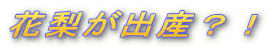 �ԗ����o�Y�H�I