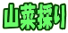 �R�؍̂�