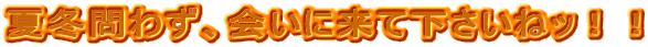 �ē~��킸�A��ɗ��ĉ������˃b�I�I