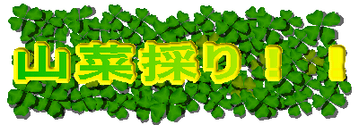 �R�؍̂�I�I
