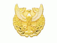 �����X��