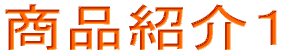 ���i�Љ�P