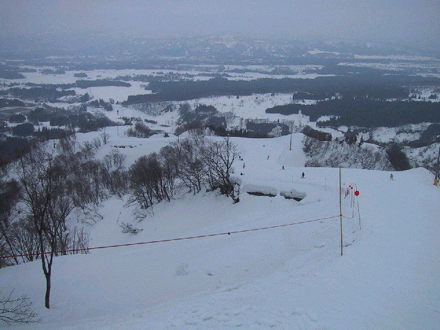 img0017.jpg