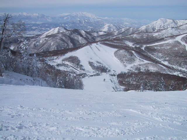 img0014.jpg