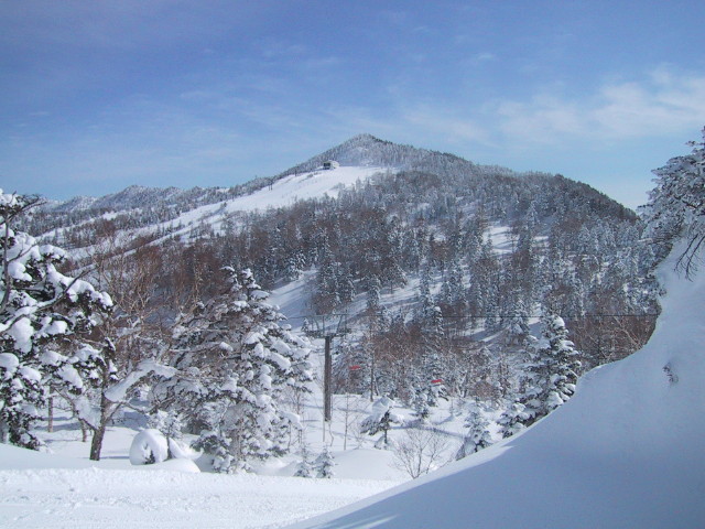 img0017.jpg