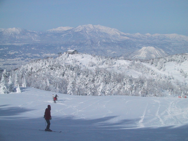 img0019.jpg