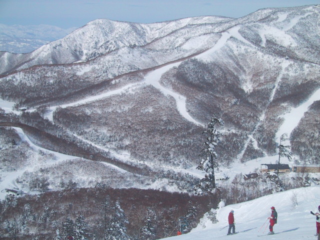 img0020.jpg