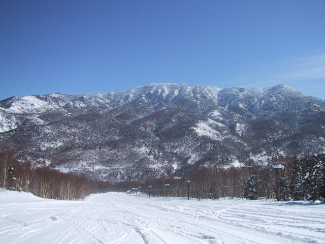 img0029.jpg