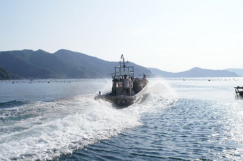 �F�a�C�N���[�W���O����2