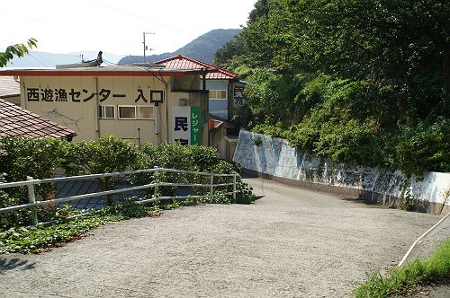 ���V���Z���^�[