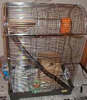 �z�b�g�q�[�^�[