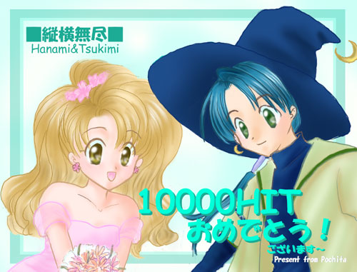 tsukimi v hanami